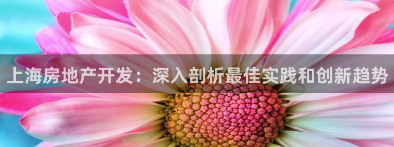 万向娱乐招商