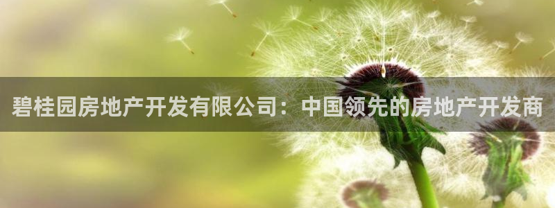 万向娱乐平台代理多少钱一个