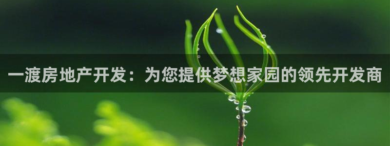 万向娱乐