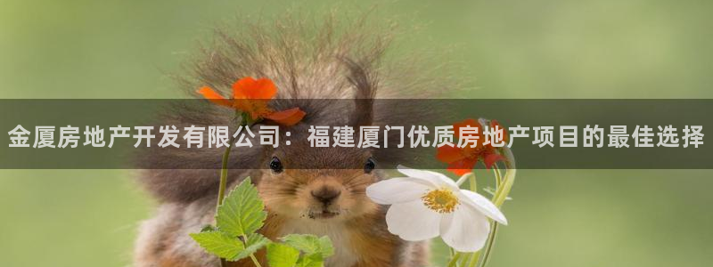 万向娱乐是野鸡台吗