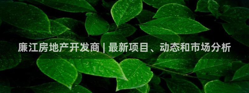 万向娱乐挂机软件