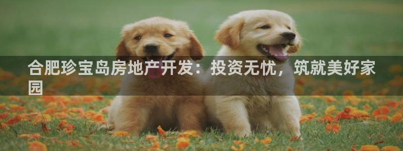 万向娱乐app下载苹果版
