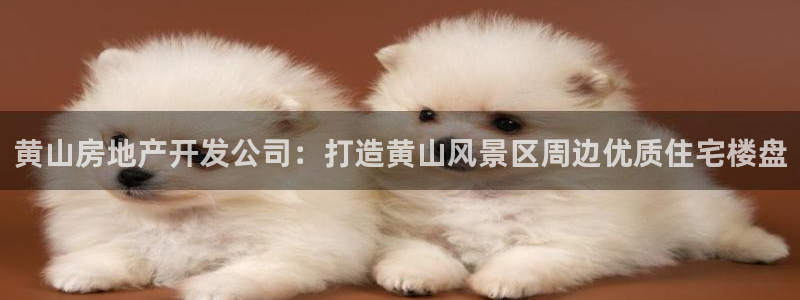 万向娱乐平台下载安装